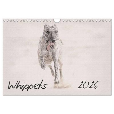 Whippets 2026 (Wall Calendar 2026 DIN A4 landscape), CALVENDO 12 Month Wall Calendar