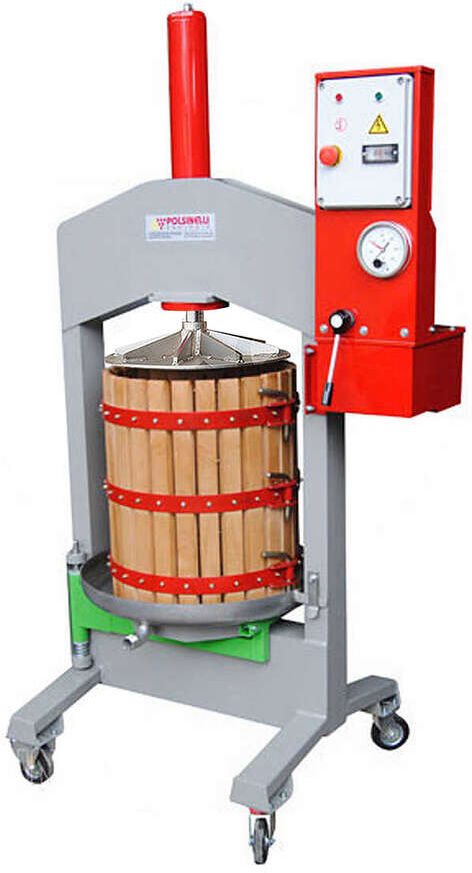 Polsinelli Pressa Verticale Alfa 40 con Gabbia Girevole