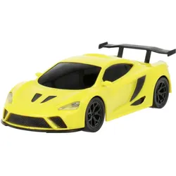 Modster RC Modellauto