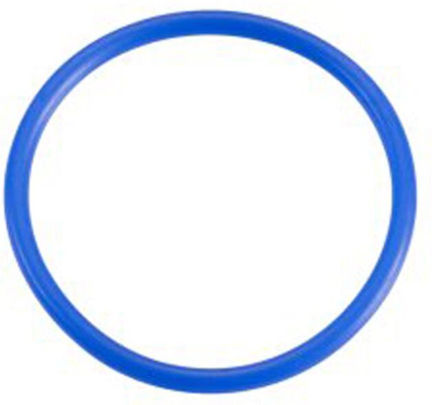 Neoperl Cache Dichtring 78108194 für TT Strahlregler/14x1mm, blau