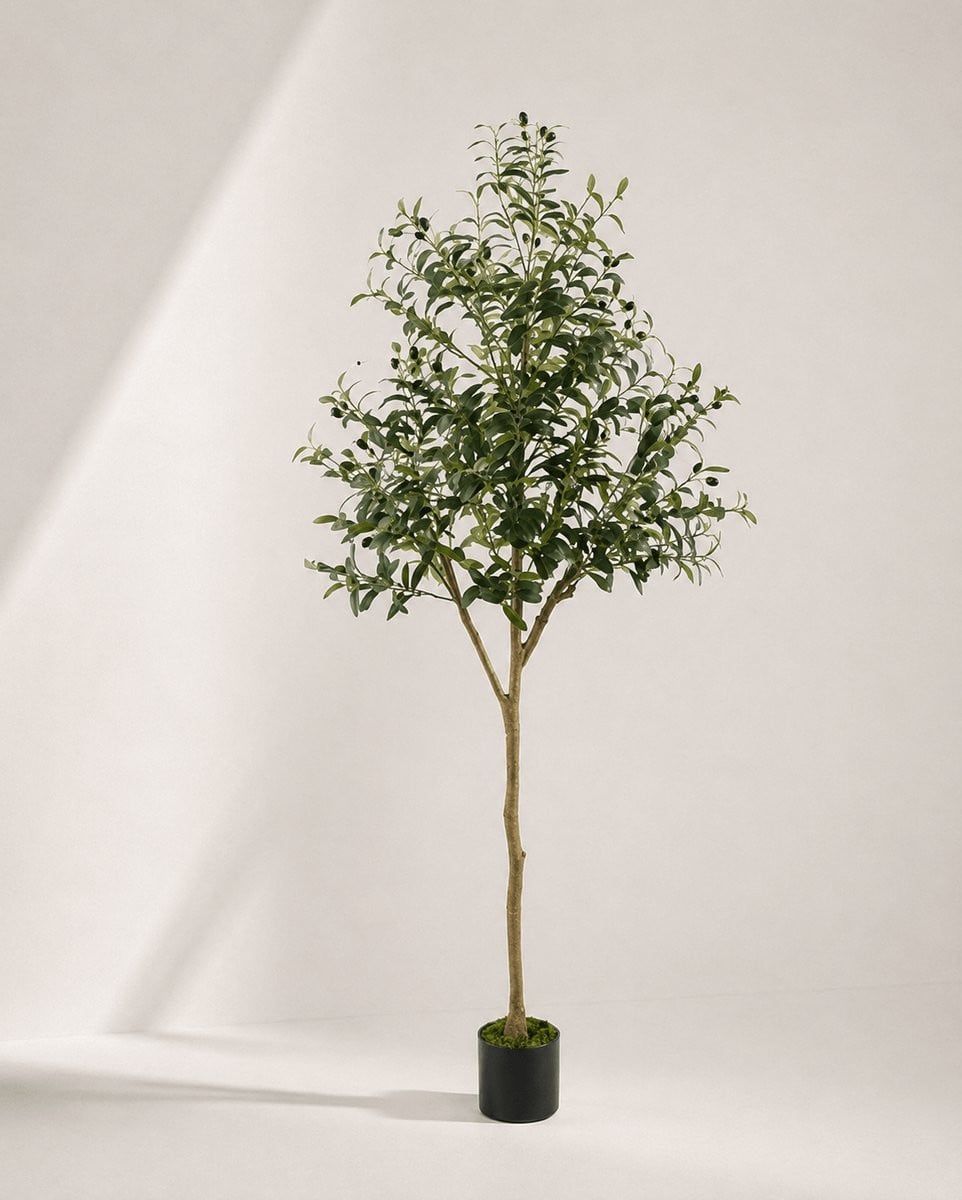 Kunstplant Olijfboom - Groen - Hoogte: 180 cm