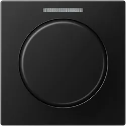 Jung Abdeckung mit Lichtleiter A 1540 BF KO5 SWM