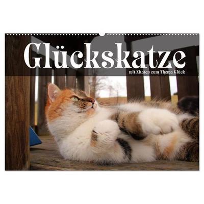 Glückskatze - Mit Zitaten zum Thema Glück (Wandkalender 2026 DIN A2 quer), CALVENDO Monatskalender
