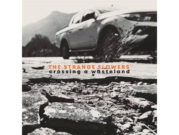 Crossing A Wasteland
