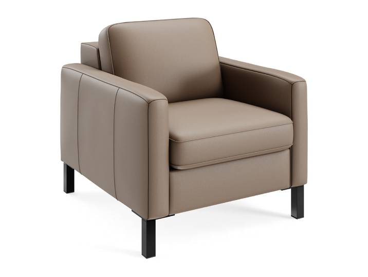Sessel Classica-8011, Johann Jakob, kat. d, life line hasel, Leder