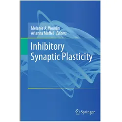Inhibitory Synaptic Plasticity, Fachbücher