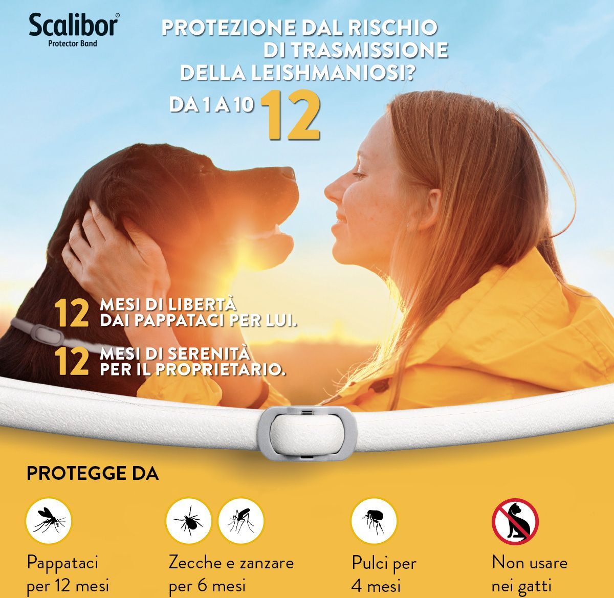 Scalibor Collare Antiparassitario per Cani KIT 3PZ