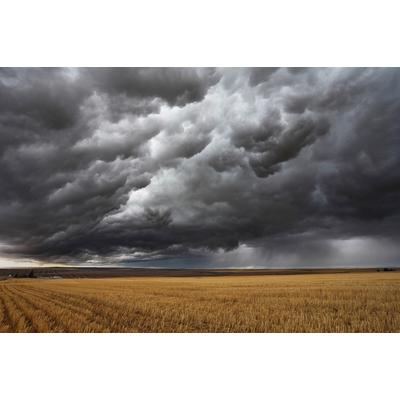 Fototapete PAPERMOON "Feld mit Gewitter", bunt, B:5m L:2,8m, Vlies, Tapeten