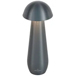 Villeroy & Boch Akku-Tischleuchte Modena Alu, Eisen, Stahl Metall Grau Graphit 21 cm