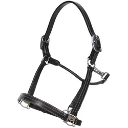 Kentucky Horsewear, Halfter