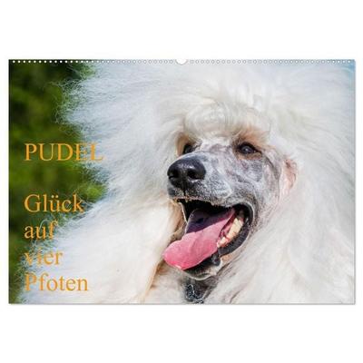 Pudel - Glück auf vier Pfoten (Wandkalender 2027 DIN A2 quer), CALVENDO Monatskalender