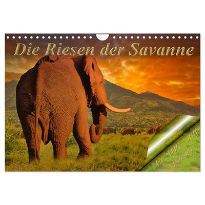 Die Riesen der Savanne (Wandkalender 2026 DIN A4 quer), CALVENDO Monatskalender