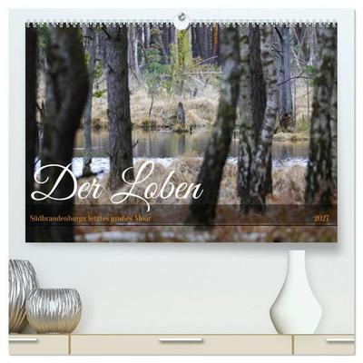 Der Loben. Im Reich der Moorgeister und Kreuzottern- Südbrandenburgs letztes großes Moor (hochwertiger Premium Wandkalender 2027 DIN A2 quer),