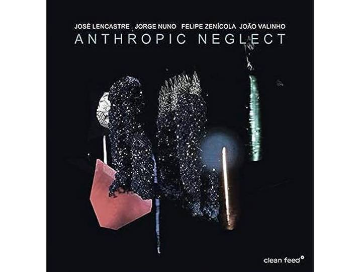 Anthropic Neglect
