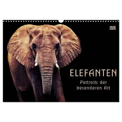 Elefanten - Portraits der besonderen Art (Wandkalender 2026 DIN A3 quer), CALVENDO Monatskalender