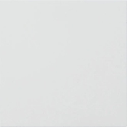 Gira Info-/Blindmodul verkehrsweiß (lackiert) 5554902