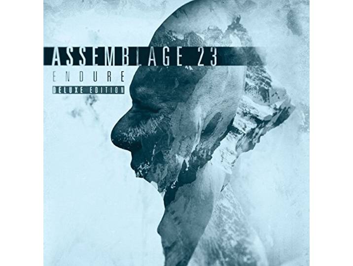 Assemblage 23 - Endure