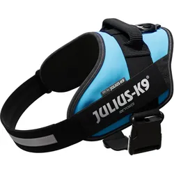Julius-K9 IDC-Powergeschirr aquamarine Grösse 1: Brustumfang 63-85 cm (1, Hund, Allgemein, Hundesport, Spazieren), Halsband + Leine