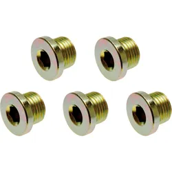BGS Ölablassschrauben zu Art. 126 M20 x 1,5 mm 5tlg. - 126-SM20