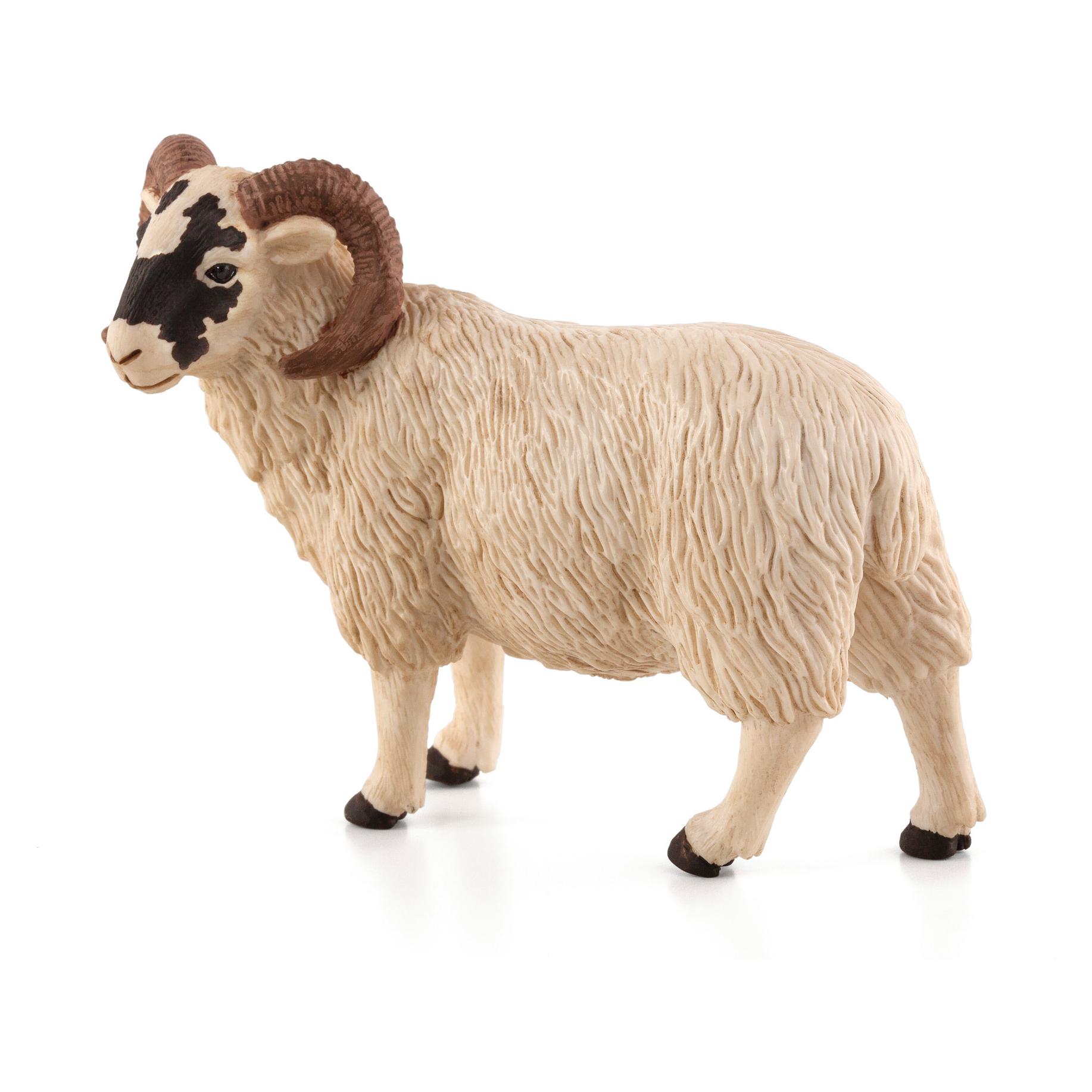 Mojo Schafbock (387081)