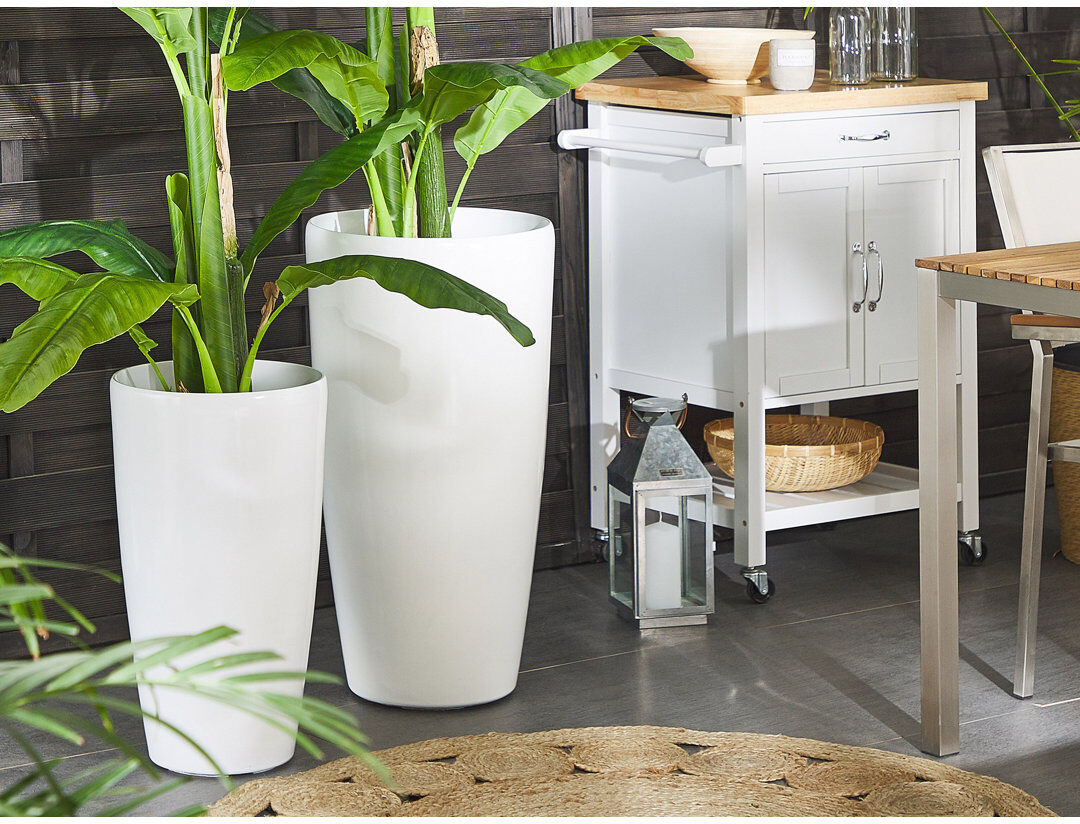 Canora Grey Alcalde Pot Planter White 58cm H X 32cm D