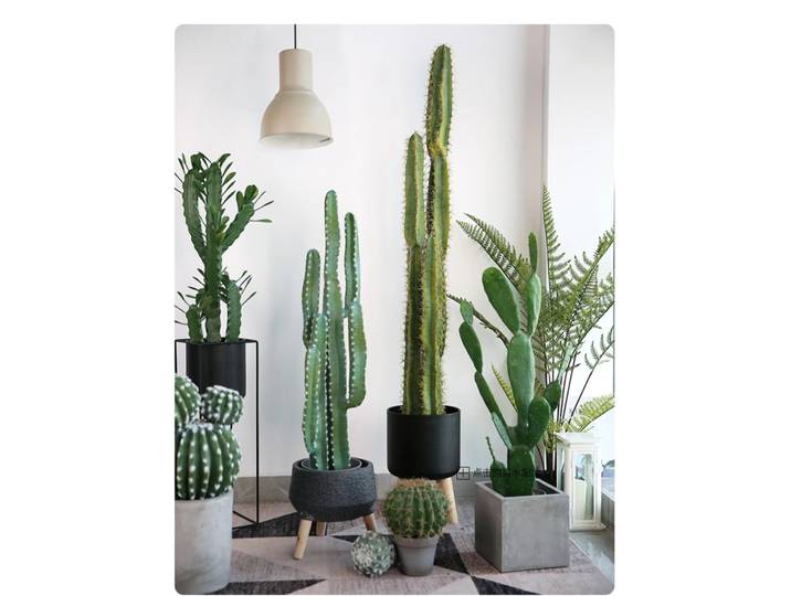 Grande Plante de Simulation de Bonsaï pour Décoration de Sol, Colonne Importale, Fenêtre, Salon