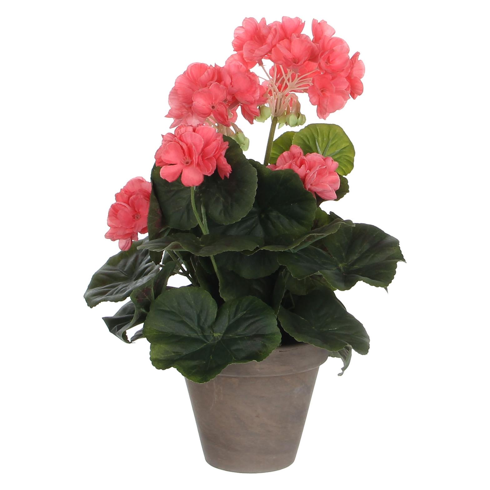 Mica Decorations Geranie (33 cm) (975163)