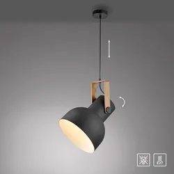 JUST LIGHT Pendelleuchte CUP 2.0, 1xE27 max. 60Watt exkl., höhenverstellbar, IP20, Schwarz