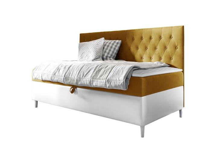BOXBETT Filip Junior 2 - H3