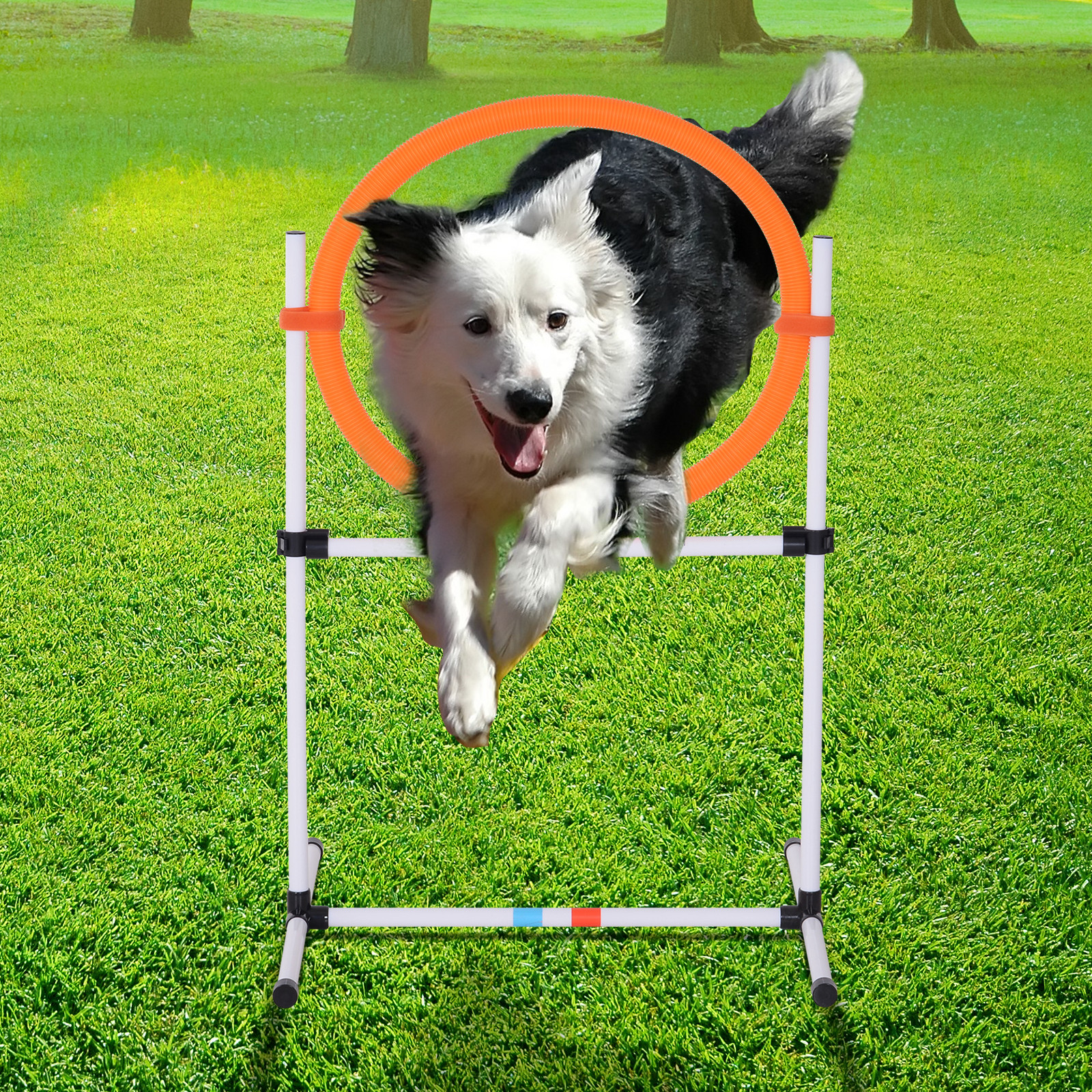 Pawhut Set Agility Dog Portatile, Anello e Sbarra, Multiuso, Borsa da Trasporto, 74.5x66x91cm, Allenamento e Divertimento, Bianco e Arancione Aosom