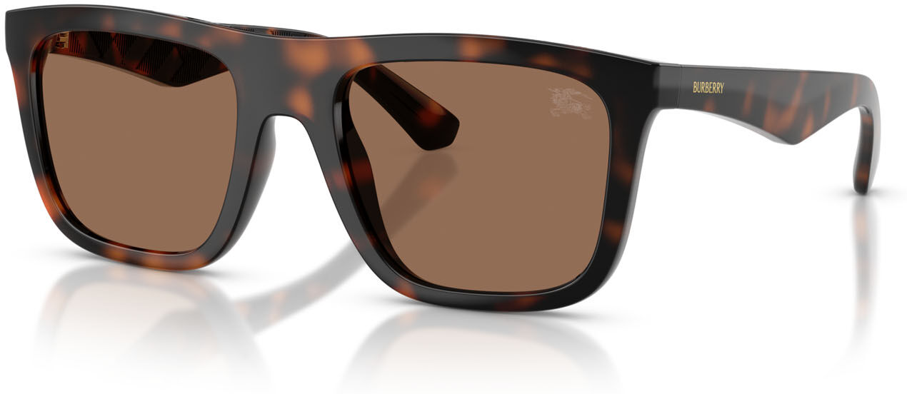 Sonnenbrille Burberry BE 4458U (300273) Herren