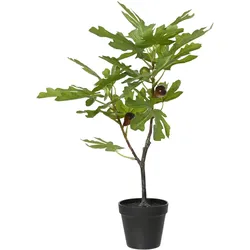 Kunstpflanze Feigenbaum (LBH 60x40x35 cm) - lila - LBH 60x40x35 cm