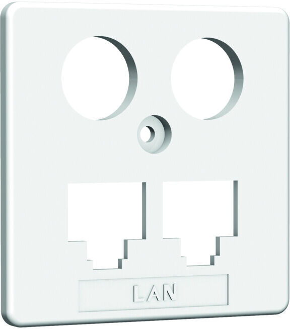 Homeway HW-ZP EK1 LAN/LAN Central. 50 mm rws HAXHSE-G0401-C021 (HAXHSE-G0401-C021)