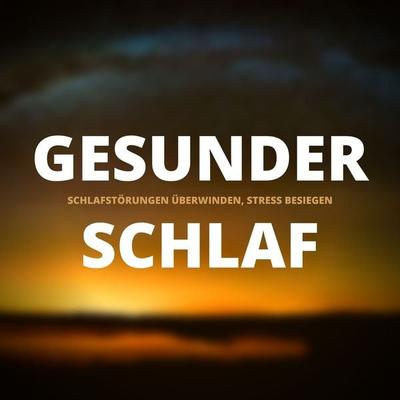 Gesunder Schlaf: Schlafstörungen überwinden, Stress dauerhaft besiegen (Premium-Bundle) - Patrick Lynen, Audio, 4064066860820