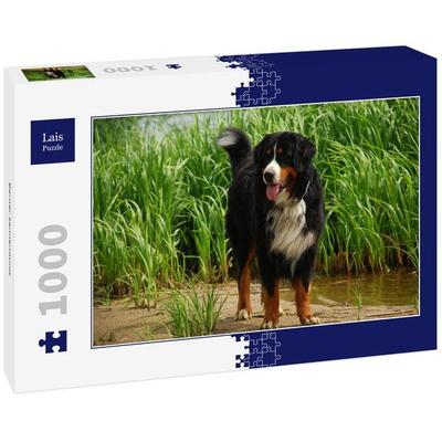 Lais Puzzle Berner Sennenhund 1000 Teile