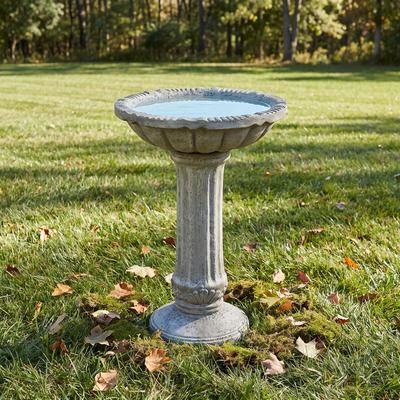 Meedzom 23.8 in Tall Classic Roman Pedestal Concrete Bird Bath, Weatherproof Antique Gray Stone‑Texture Decor for Garden Patio Backyard