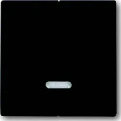 Busch-Jaeger Bedienelement 6545-81 2CKA006599A2906