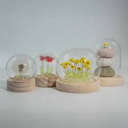 Floral Glow Garden Dome - 3 Sea Urchins - LED USB