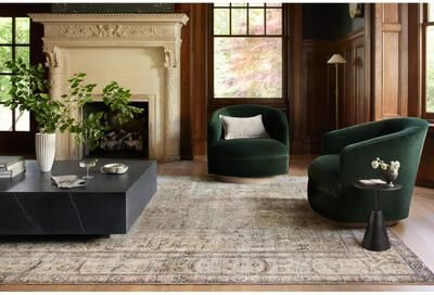 Alexander Home Sara Antique Ultra Plush Area Rug