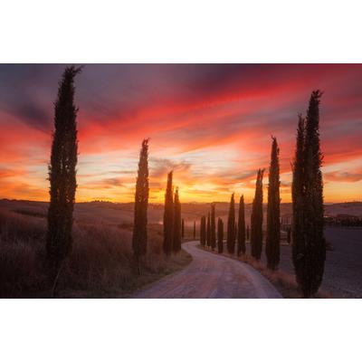 Fototapete PAPERMOON "Photo-Art ROSTOVSKIY ANTON, TOSKANA-SONNENUNTERGANG", bunt, B:3,5m L:2,6m, Vlies, Tapeten