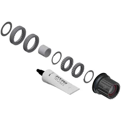 Service-/Upgrade-Kit Ratchet LN, DT SWISS, MTB Shimano Microspline; Material: Stahl; Hybrid-Ausführung, Größe: 18 Zähne, VE: 1 Kit