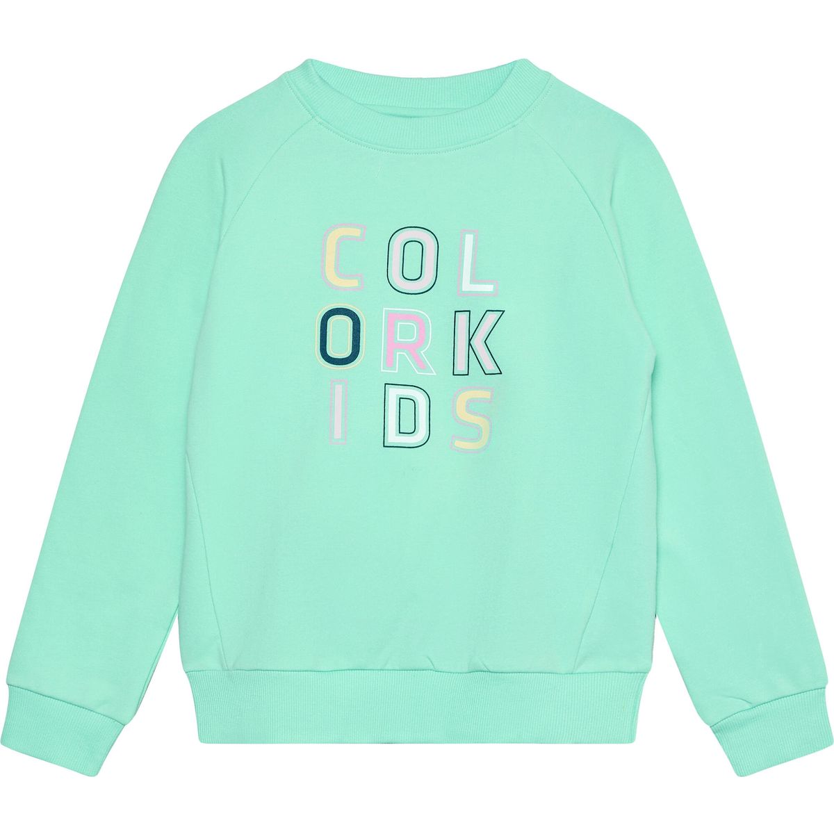 Color Kids Sweat W. Logo Print 742635 cabbage (8714) 110 742635-8714-110