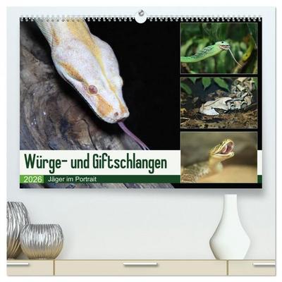 Würge- und Giftschlangen (hochwertiger Premium Wandkalender 2026 DIN A2 quer), Kunstdruck in Hochglanz