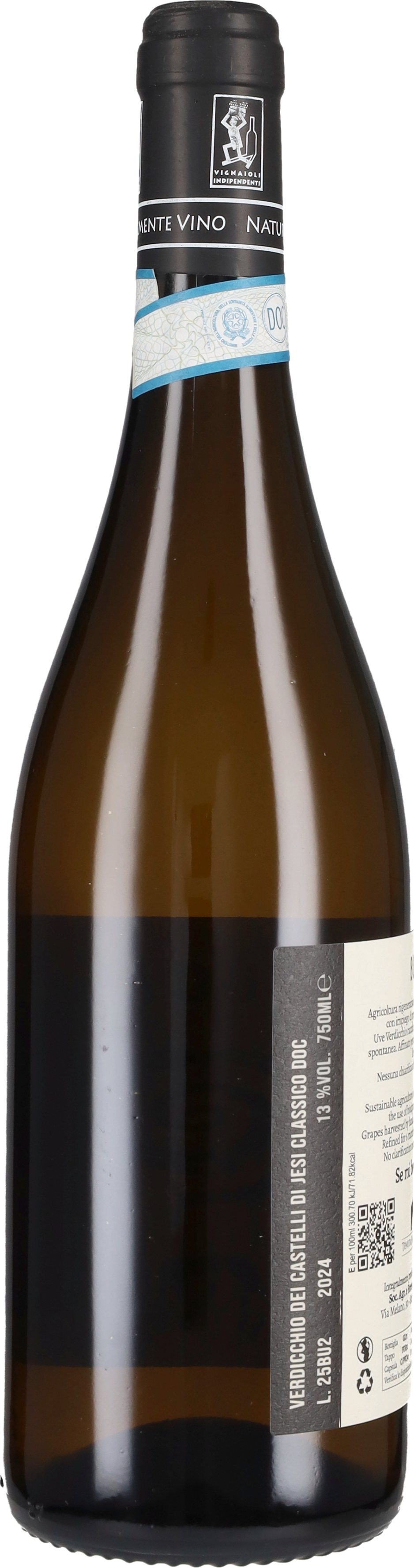 Verdicchio dei Castelli di Jesi Classico 'Buca della Marcona' Tenuta San Marcello 2025