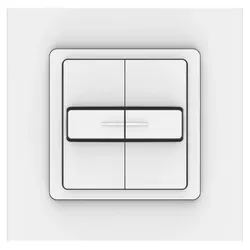 Somfy Doppeltaster 1800505