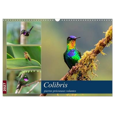 Colibris - pierres précieuses volantes (Calendrier mural 2027 DIN A3 vertical), CALVENDO calendrier mensuel