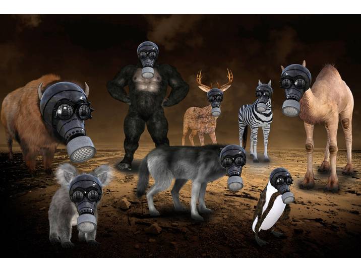 Fototapete PAPERMOON Gasmasken Tiere , bunt, B:2m L:1,49m, Vlies, Tapeten, Fototapete
