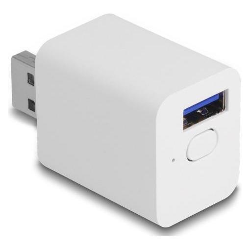 Delock WLAN EASY-USB Schalter Smart Life (USB) (11832)