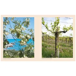Adriatico, Ratgeber von Paola Bacchia