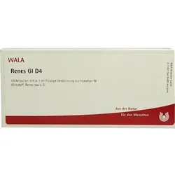 RENES GL D 4 Ampullen 10 ml